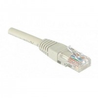 Dexlan RJ-45 Cat6 M/M 1m câble de réseau Gris U/UTP (UTP)