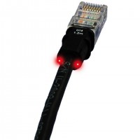 Dexlan 3.1m Cat5 RJ-45 câble de réseau Noir 3,1 m U/UTP (UTP)