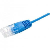 Dexlan 5.0m UTP RJ45 câble de réseau Bleu 5 m U/UTP (UTP)