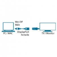 Mini DisplayPort/DisplayPort, M/F, 4K, 15 cm