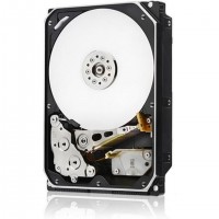 Western Digital Ultrastar He10 disque dur 10 To 7200 tr/min 256 Mo 3.5" Série ATA III