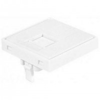 Dexlan 911722 prise de courant RJ-45 Blanc