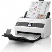 Epson DS-730N Alimentation feuille &agrave; feuille de scanner 600 x 600 DPI A4 Noir, Gris