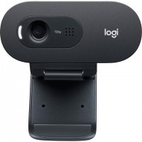 Logitech C505e webcam 1280 x 720 pixels USB Graphite