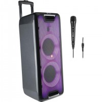 Enceinte portable NGS