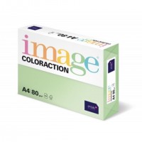 Pack de 5 Ramette de Papier ANTALIS