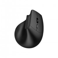 Dacomex V250-WBT-G souris Bureau Droitier Wi-Fi Optique 2400 DPI
