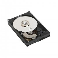 DELL 1TB SATA 7200rpm disque dur 1 To 7200 tr/min 3.5" Série ATA II
