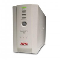 APC Back-UPS alimentation d'&eacute;nergie non interruptible Veille 0,5 kVA 300 W 4 sortie(s) CA