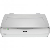 Epson Expression 13000XL Scanner à plat 2400 x 4800 DPI A3 Blanc