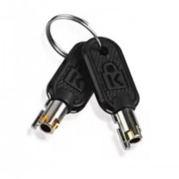 Lenovo 4Z10P40249 accessoire de c&acirc;ble de verrouillage Cl&eacute; Gris